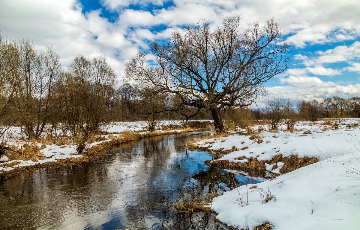 Зима не пускает весну - Андрей Дворников Зима не пускает весну - Андрей Дворников