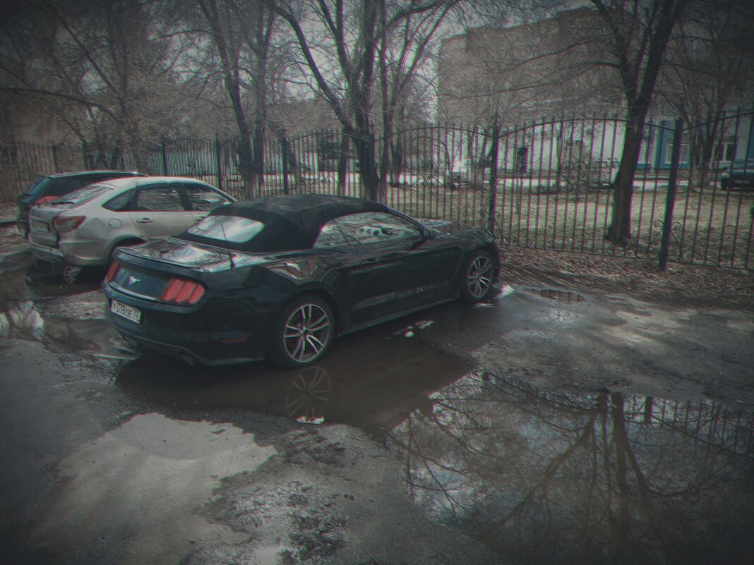 Авто с логотипом бегущей лошади. - Игорь Солдаткин