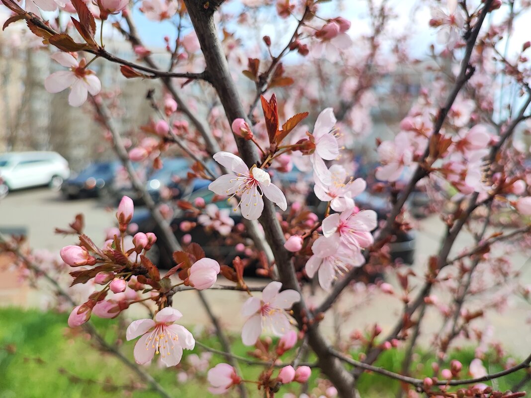 ,,, - Сергей Тимоновский