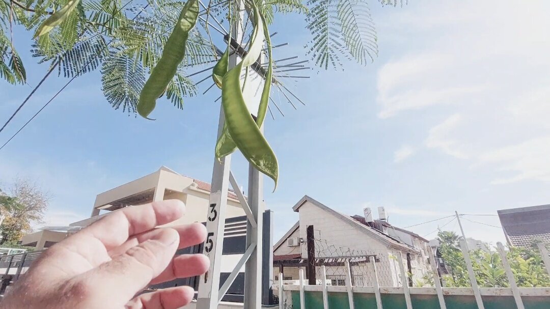 12  КЛОС (969) - CLOSE WAYS ALL