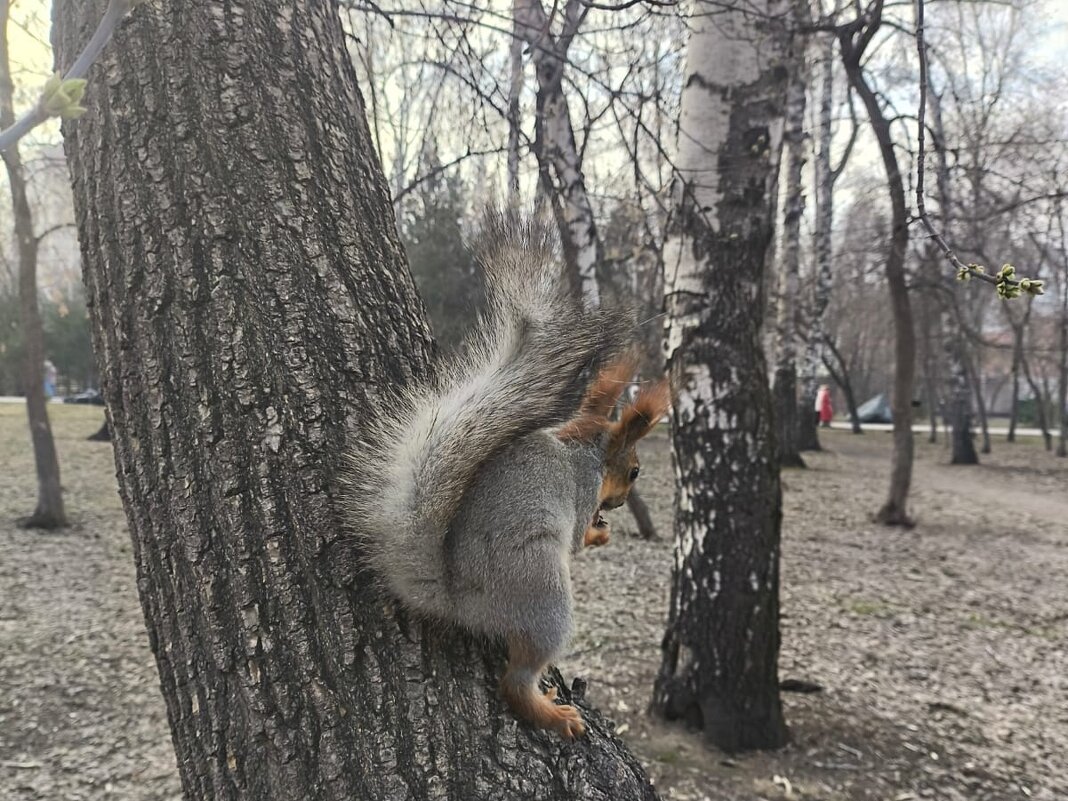 В черте города - Валентина Богатко 