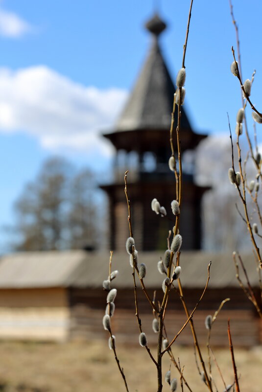 Вербное воскресенье. - Александр Алексеенко Вербное воскресенье. - Александр Алексеенко