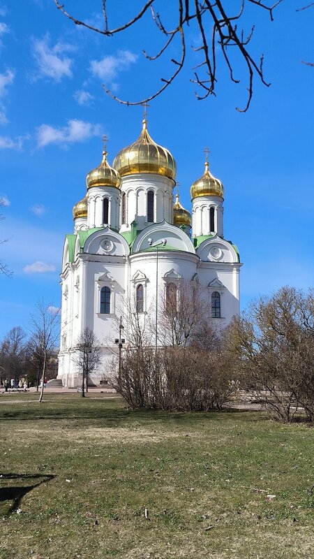 С вербным воскресеньем, друзья! - Ольга С вербным воскресеньем, друзья! - Ольга