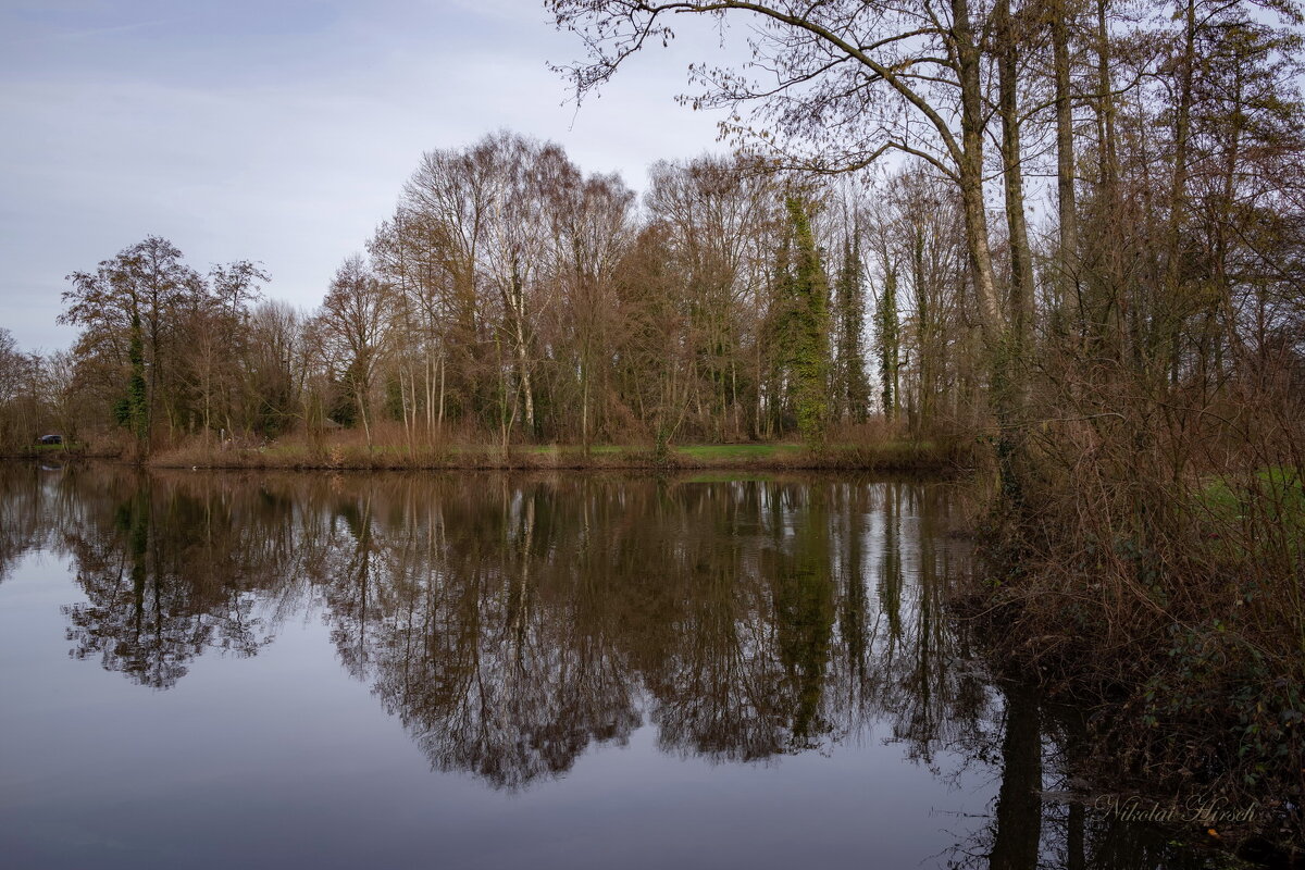 В отражении... - Николай Гирш