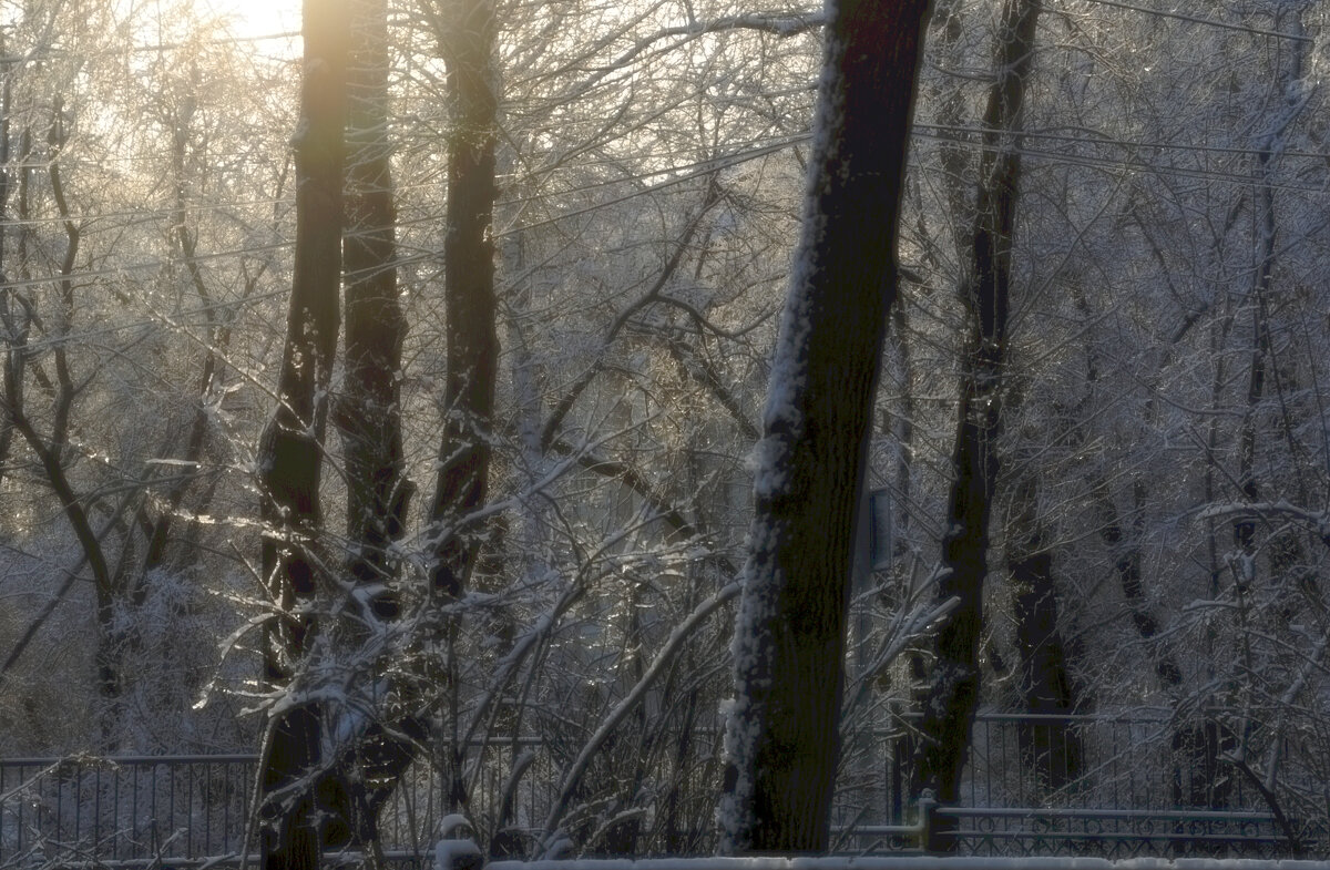 *** - Сергей Сергеев