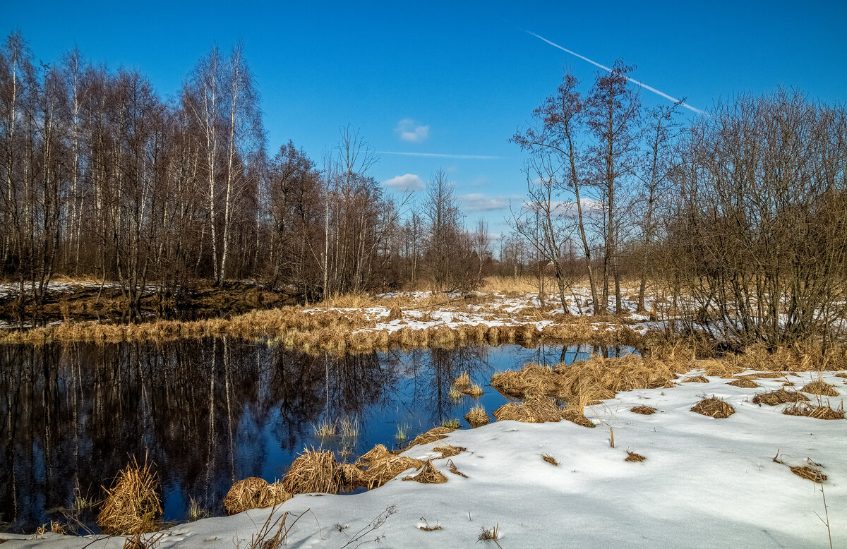 Вербное воскресенье в 2025 году - Андрей Дворников