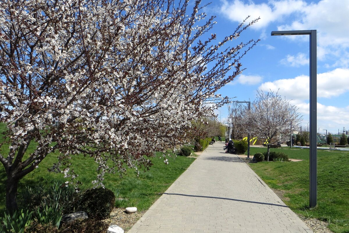 Весна в Аксайском парке МЕГА - Татьяна Смоляниченко Весна в Аксайском парке МЕГА - Татьяна Смоляниченко