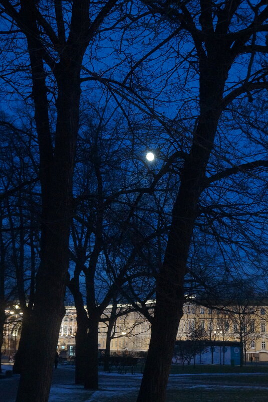 полнолуние над Дворцовой - zavitok * полнолуние над Дворцовой - zavitok *