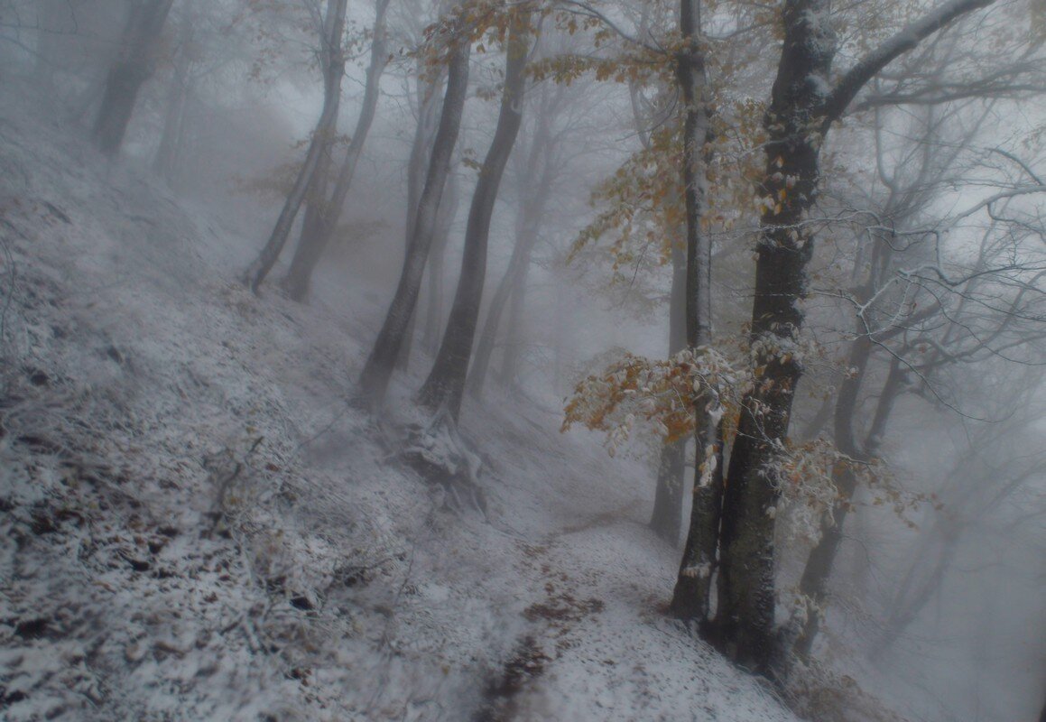 Метель...... - Юрий Цыплятников Метель...... - Юрий Цыплятников