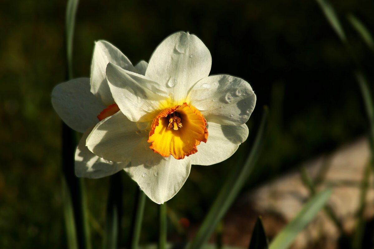 Доброе утро - Юрий. Шмаков