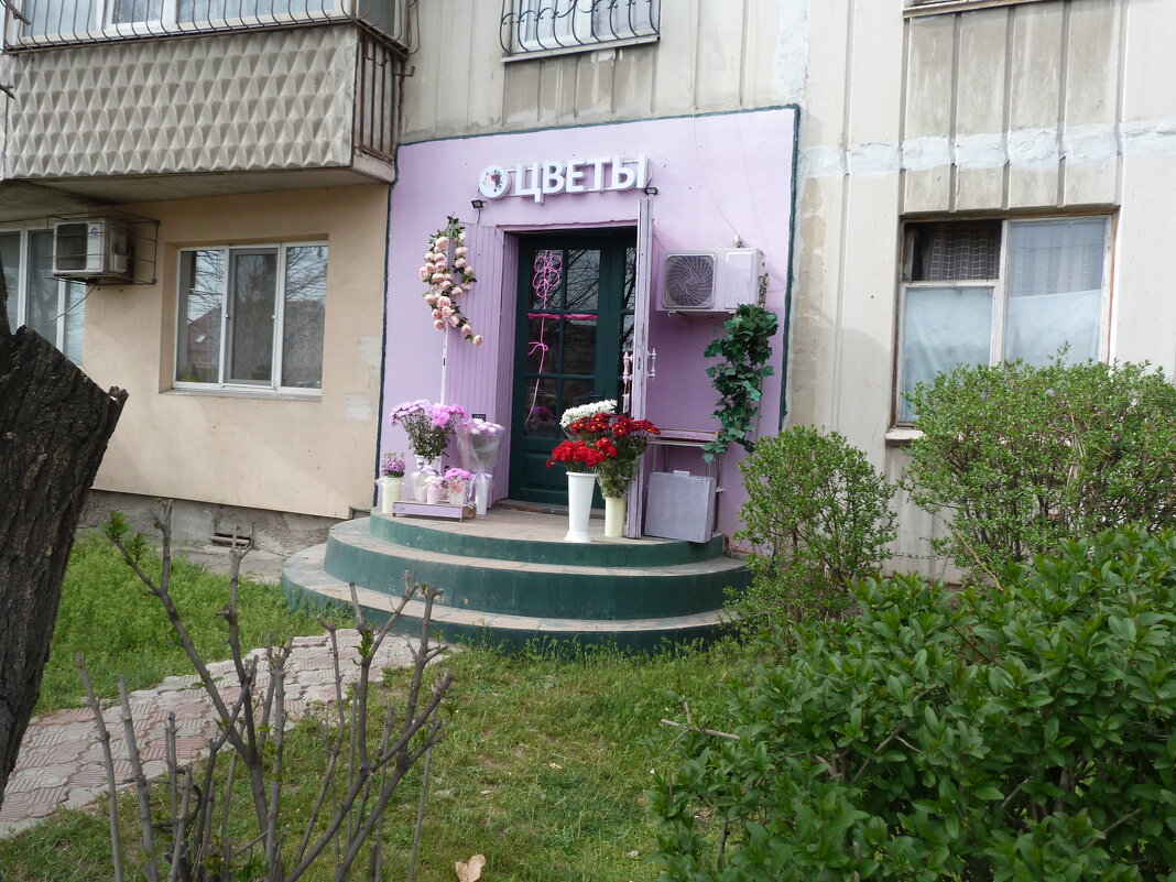 Цветочный  магазинчик - Валентин Семчишин