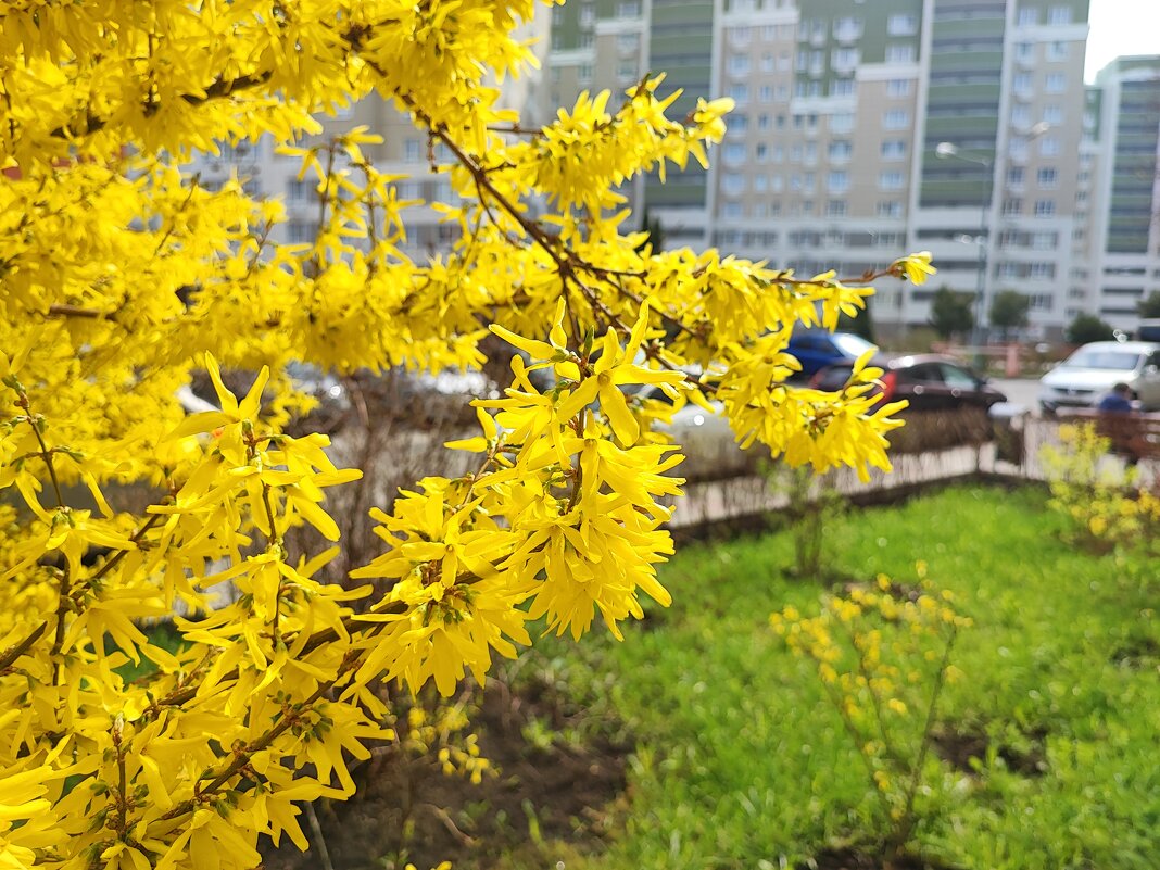 ... - Сергей Тимоновский ... - Сергей Тимоновский