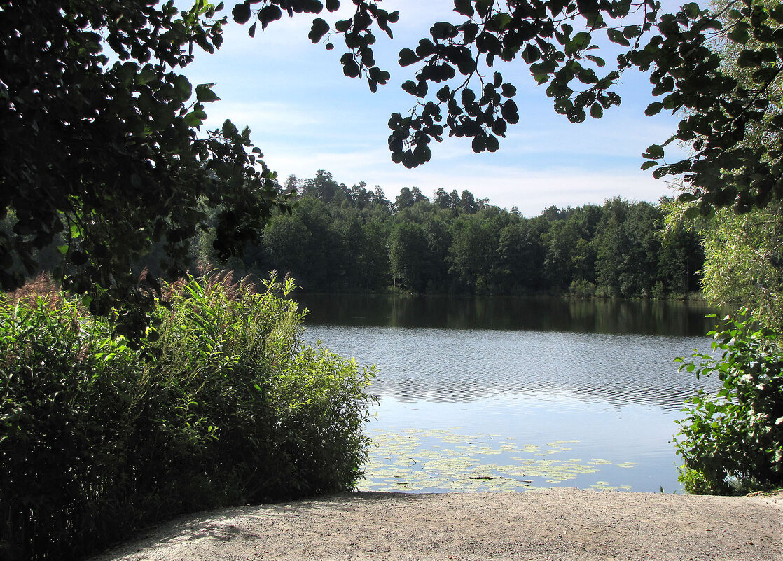 Раифское озеро - Александр Ильчевский Раифское озеро - Александр Ильчевский