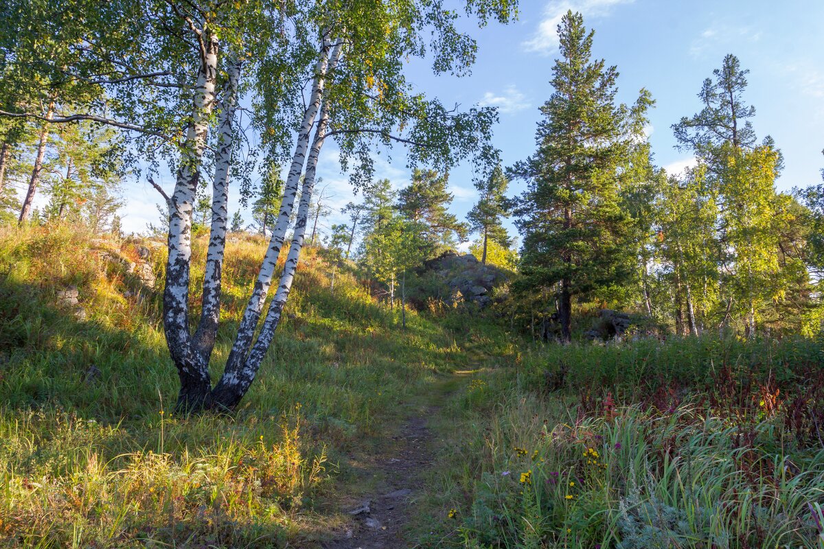 Летнее утро на перевале. Ильменский хребет. - Алексей Трухин
