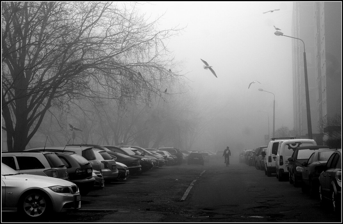 Утро... - Aleksandr Gal