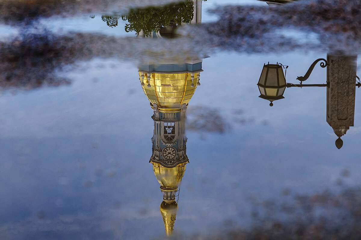 Отражение в луже. - Александр Отражение в луже. - Александр