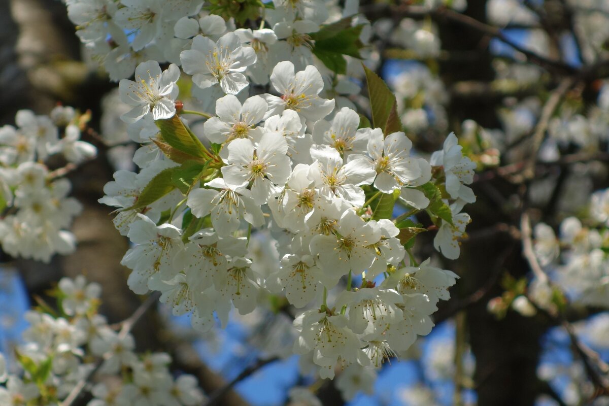 ... - Галина ... - Галина