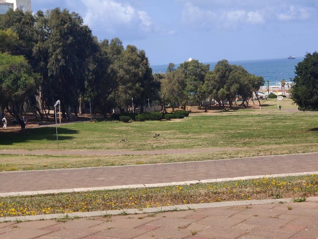 Наше место. - Светлана Хращевская Наше место. - Светлана Хращевская