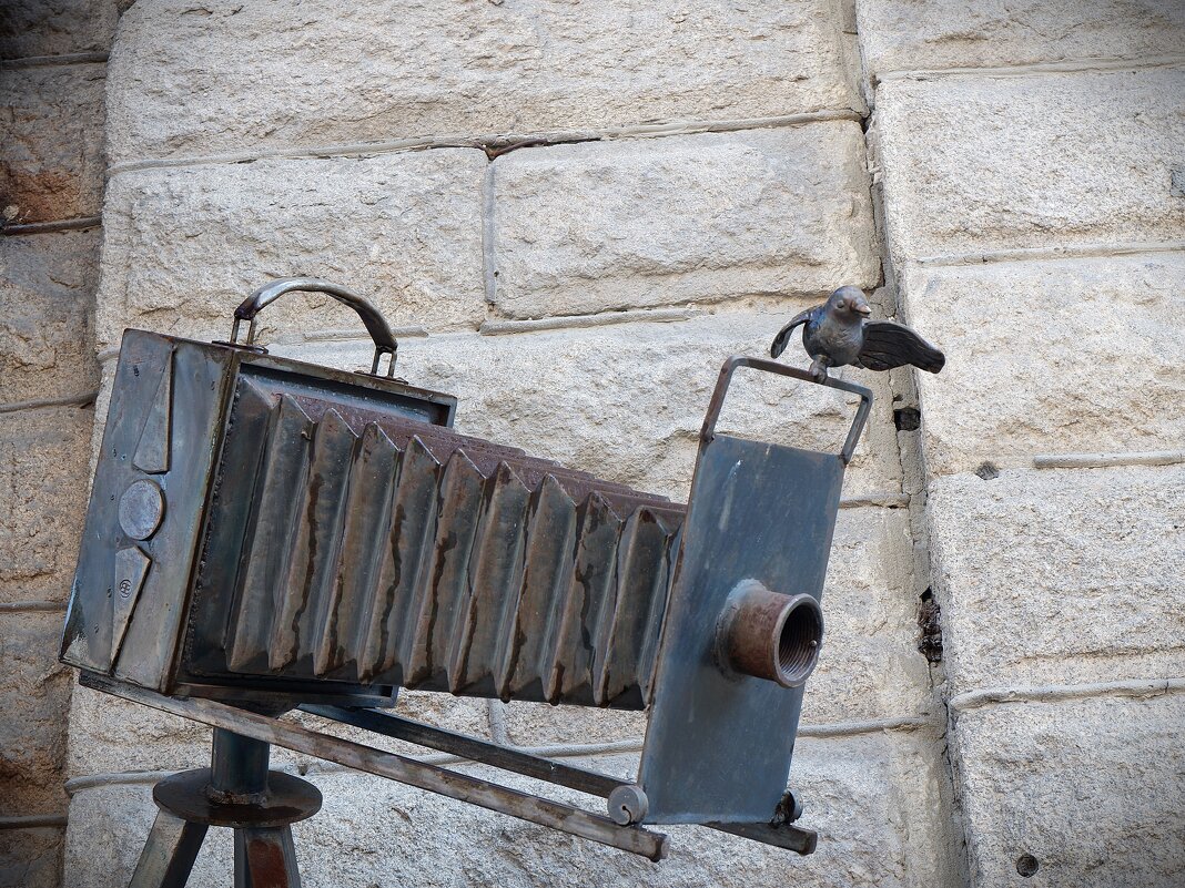 Птичка вылетила - Василий Дворецкий