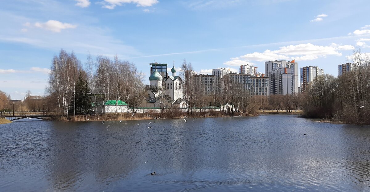 Среднерогатский пруд - Наталья Герасимова Среднерогатский пруд - Наталья Герасимова