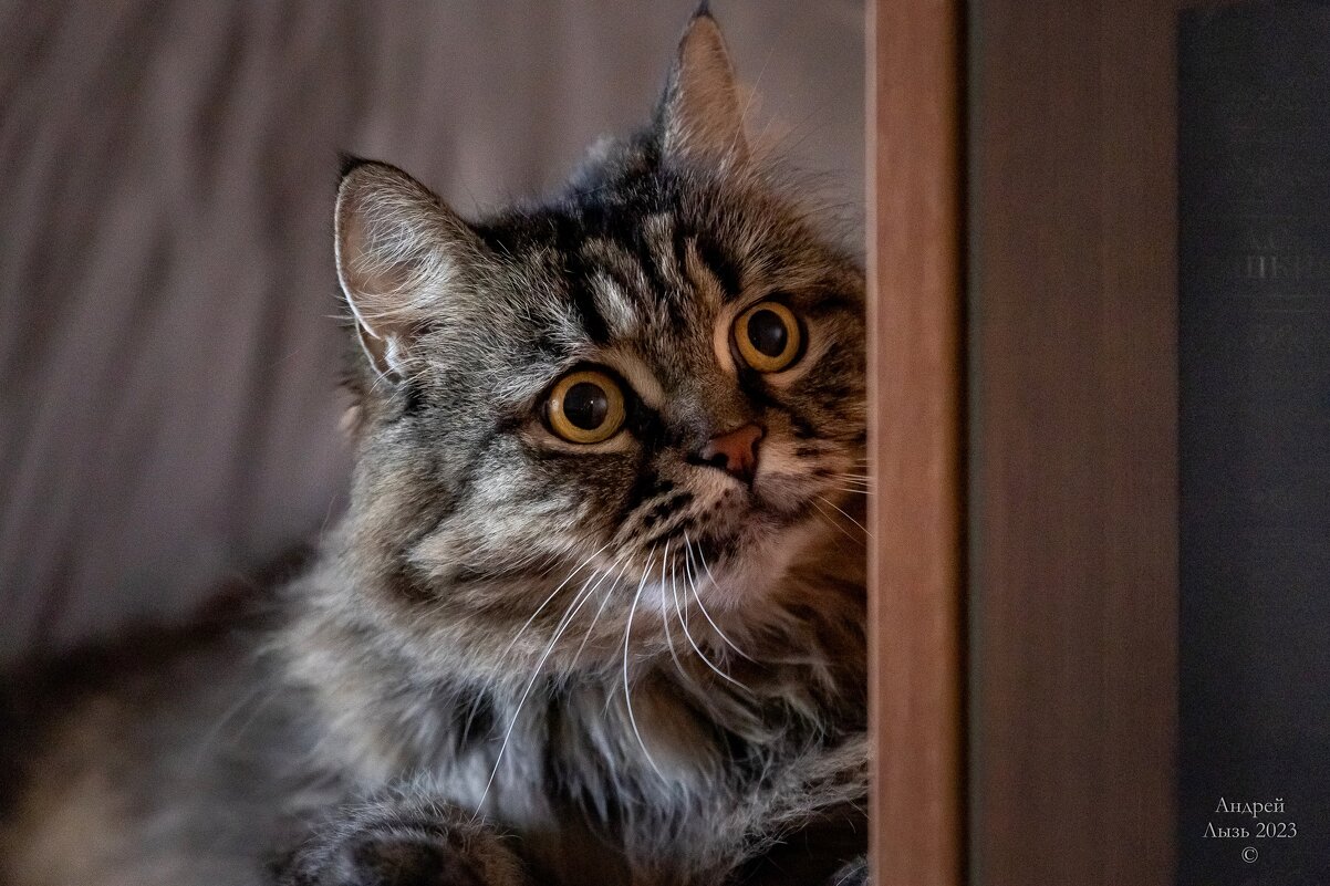 Юка - Андрей Lyz Юка - Андрей Lyz