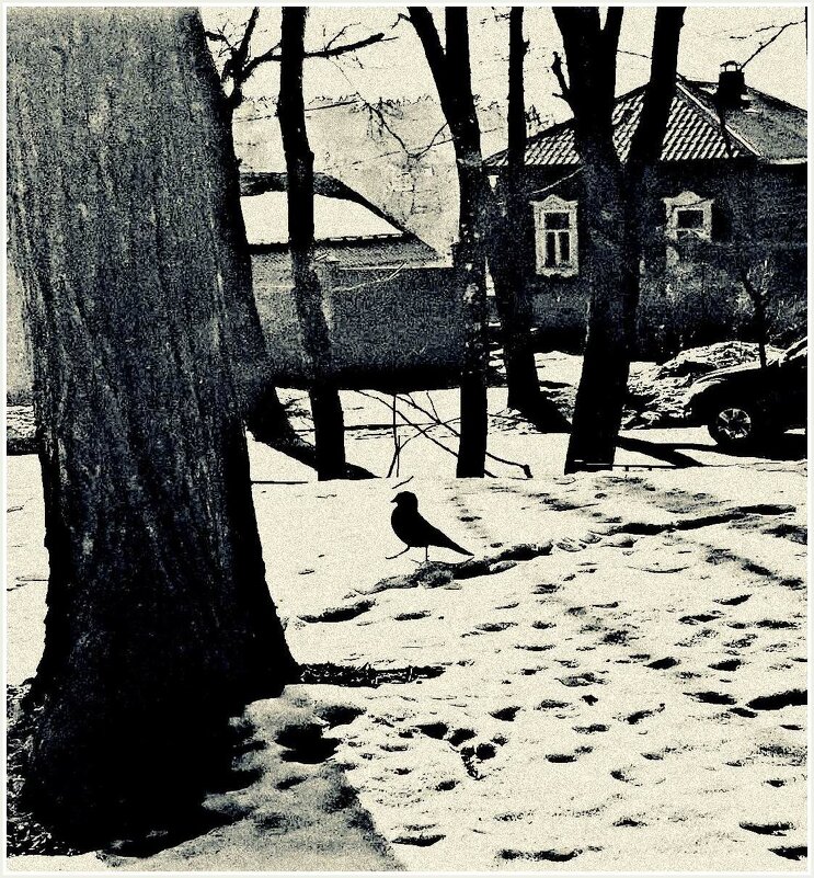 важный птах - Любовь 