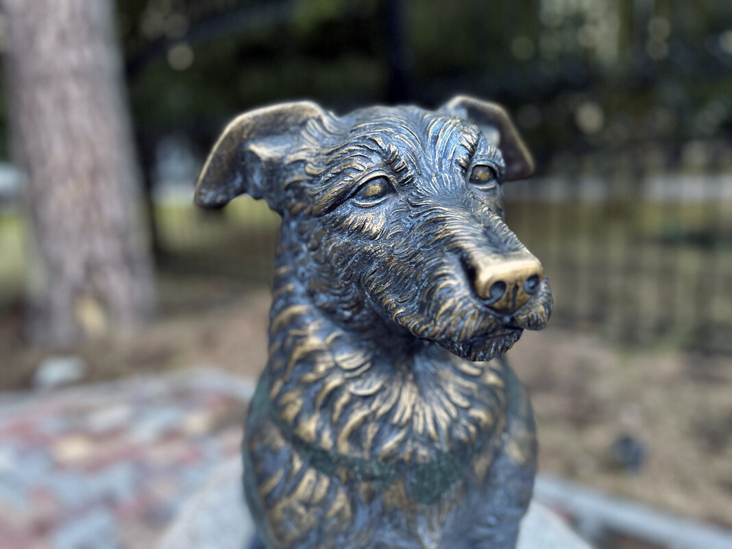 Друг - Дмитрий Иванов