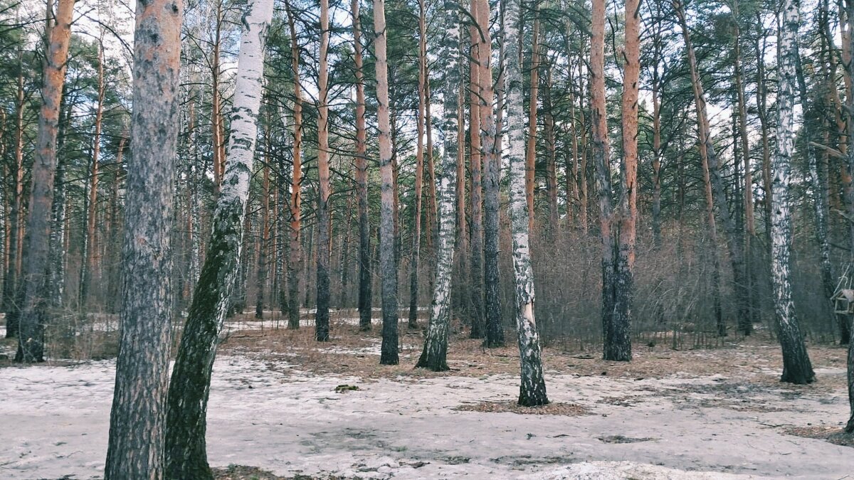 Весна - Георгиевич 