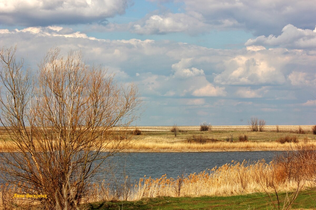 На озере Медвежьем. - Восковых Анна Васильевна 