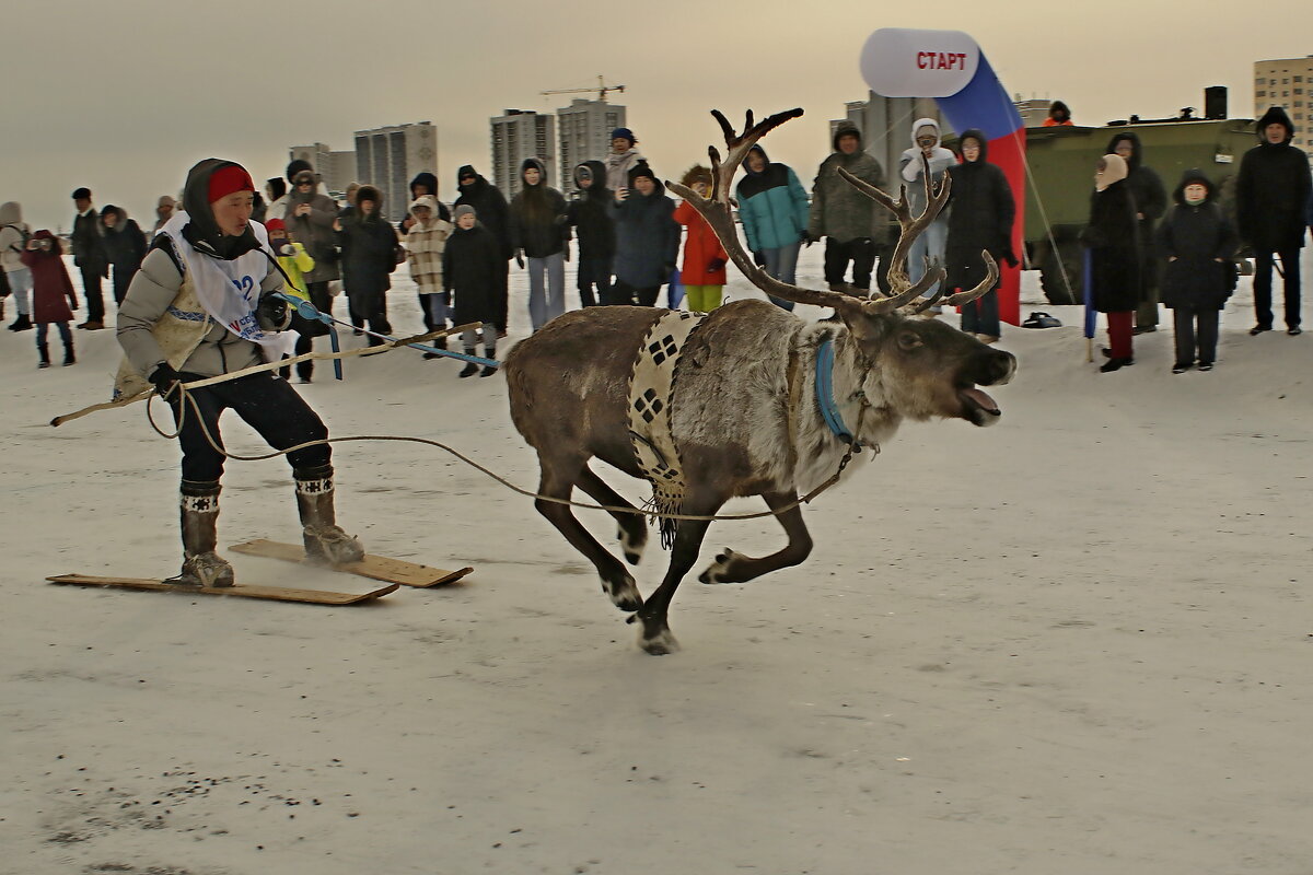 Буксировка лыжника - Александр Велигура Буксировка лыжника - Александр Велигура
