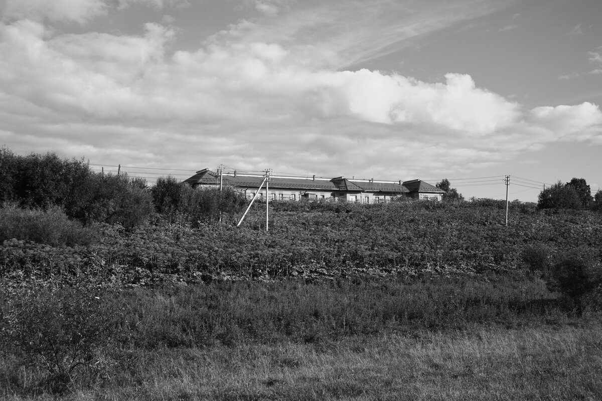 Название отсутствует - Денис Безногов Название отсутствует - Денис Безногов