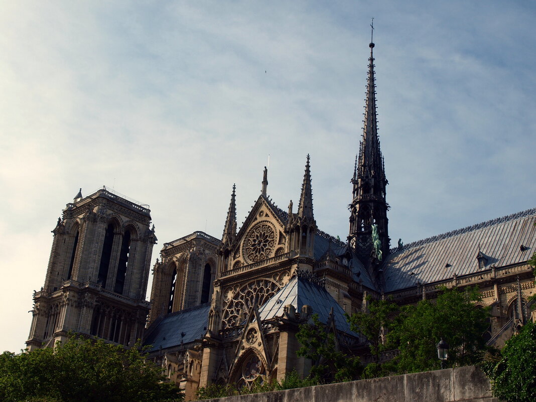 Париж. - Владимир Драгунский