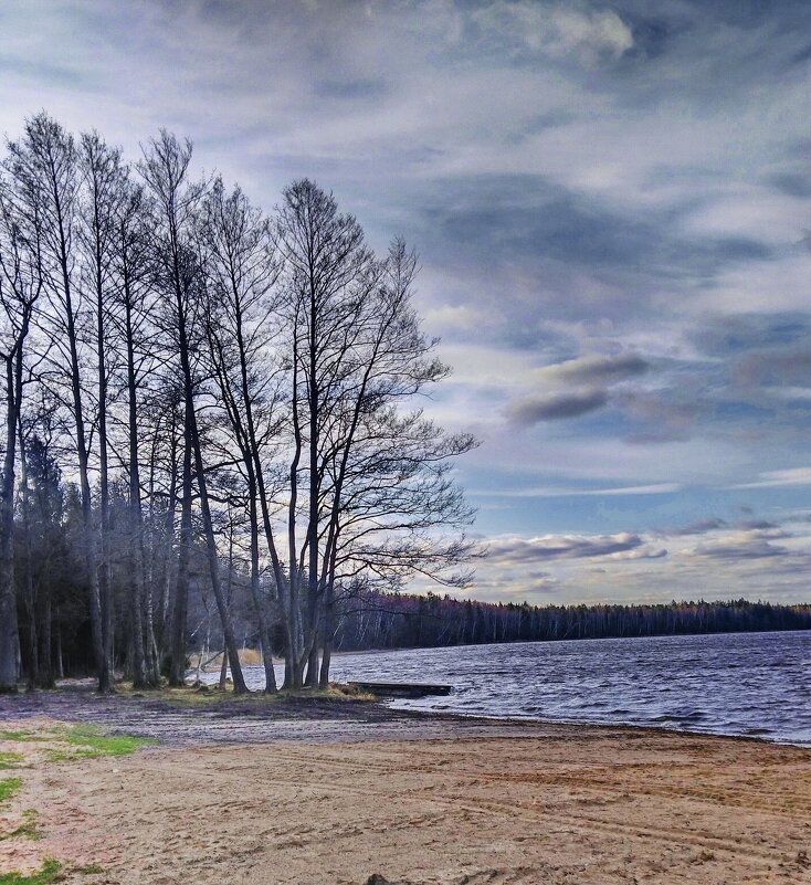 Озеро Кромань. Беларусь, Минская область, Столбцовский район - Александр Сапунов Озеро Кромань. Беларусь, Минская область, Столбцовский район - Александр Сапунов