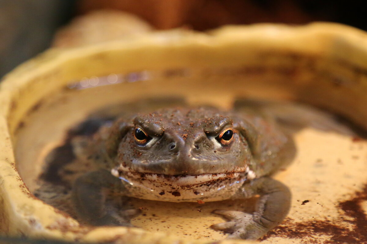 Взгляд... - Юрий Моченов Взгляд... - Юрий Моченов
