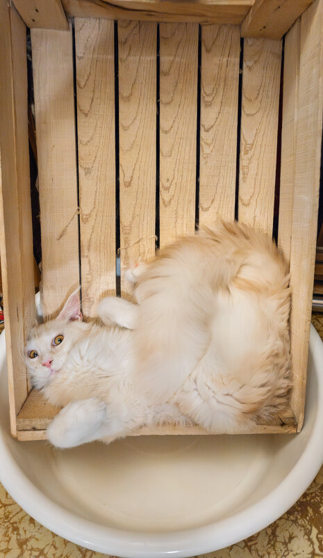 Эльза. - Борис Калитенко