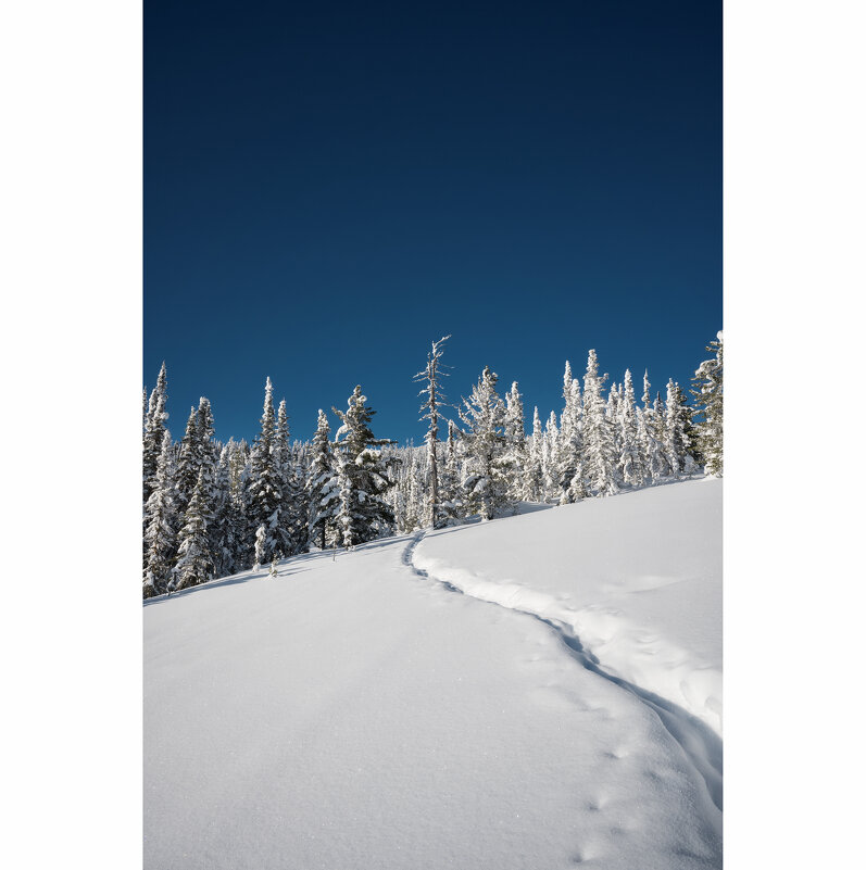 * - Александр Иванов