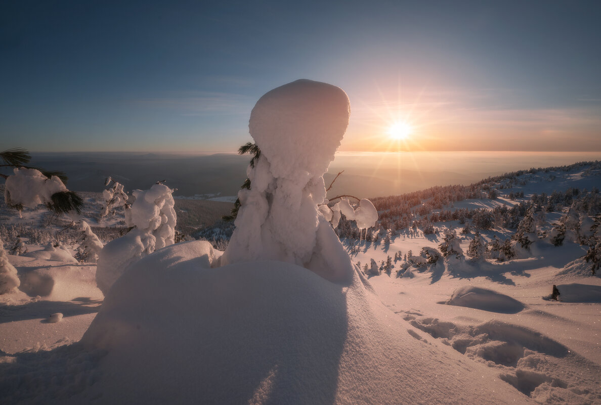 * - Александр Иванов * - Александр Иванов