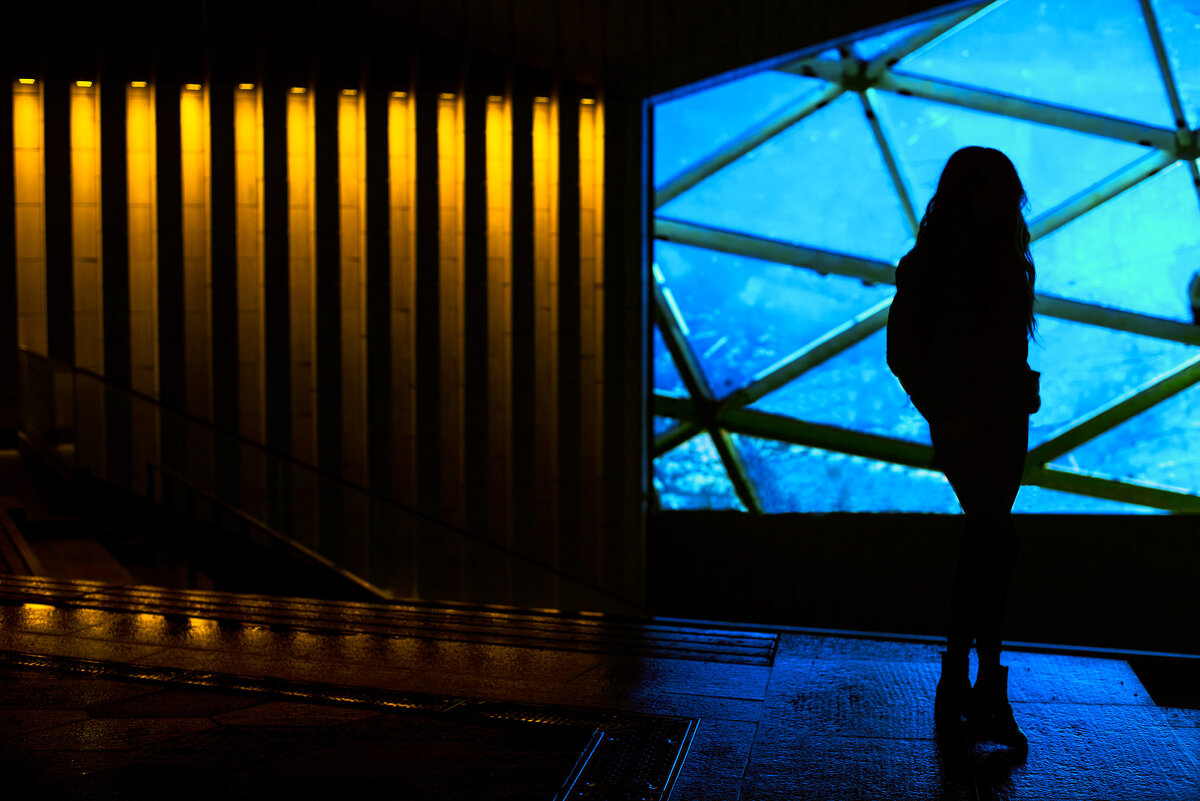 Силуэт - Валерий Серёгин Силуэт - Валерий Серёгин