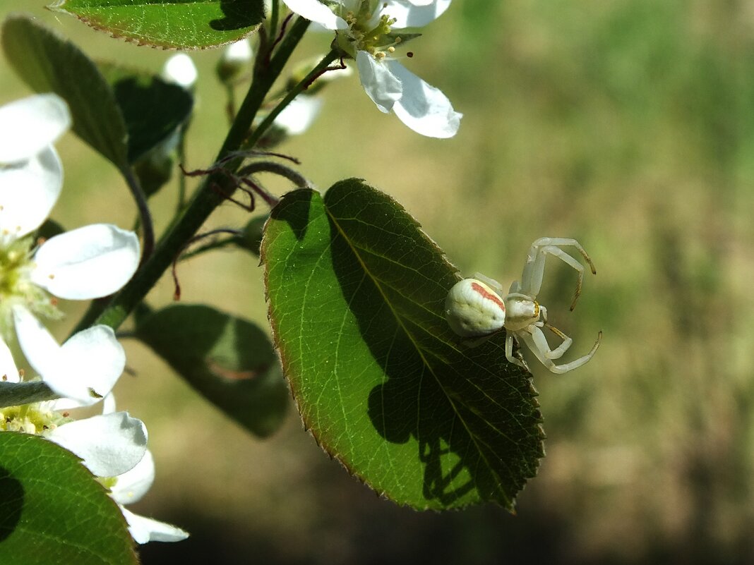 ** - Зоя Мишина ** - Зоя Мишина