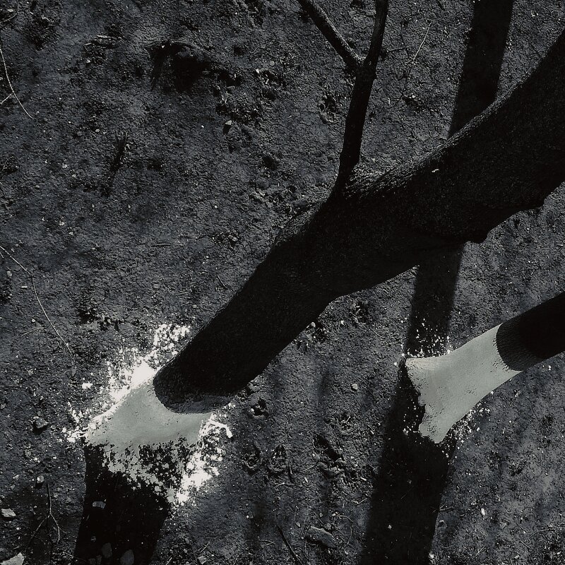 известь 2 - Николай Семёнов