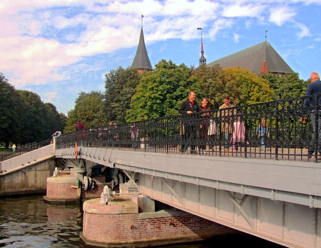 Медовый мост - Сергей Карачин Медовый мост - Сергей Карачин