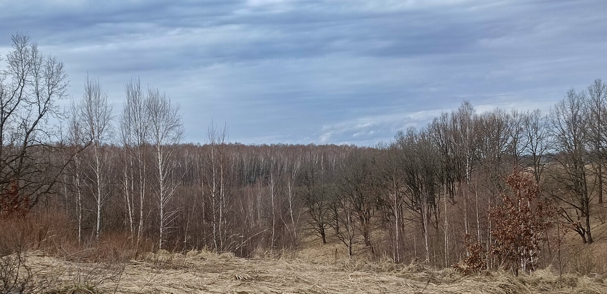 По весеннему - Sergei Vikulov По весеннему - Sergei Vikulov