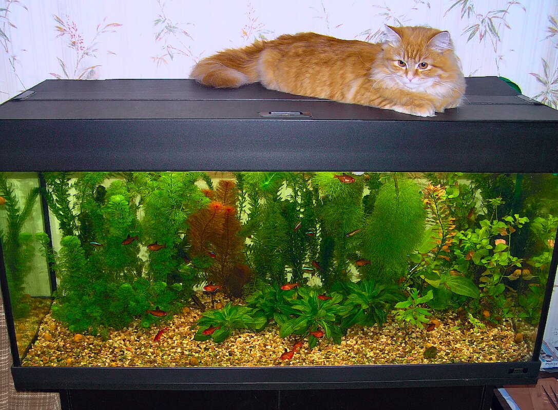 Эксперимент 3 - Andy Эксперимент 3 - Andy