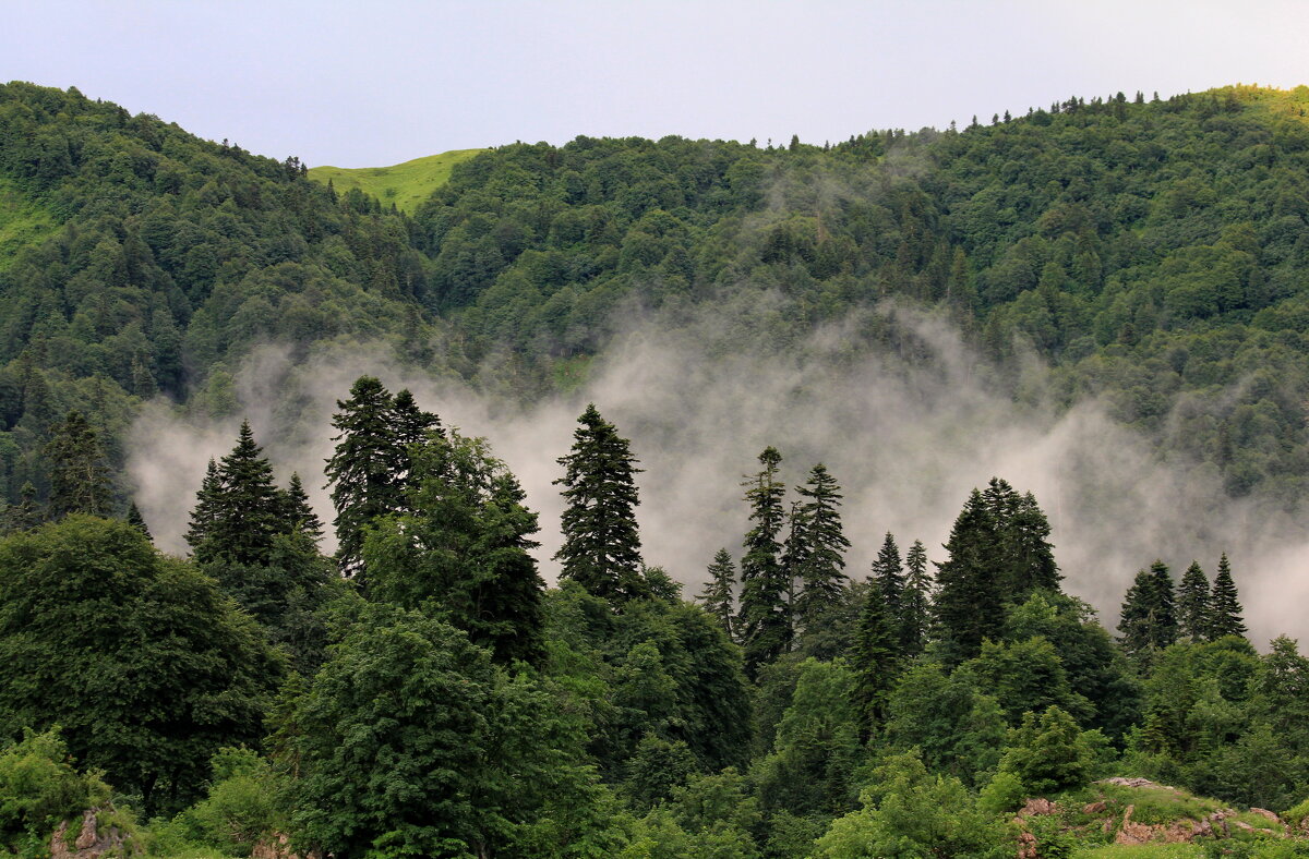 горная Адыгея - 45 - Анатолий Стрельченко горная Адыгея - 45 - Анатолий Стрельченко
