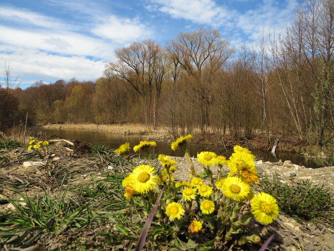 Мать - мачеха у реки - Андрей Снегерёв Мать - мачеха у реки - Андрей Снегерёв