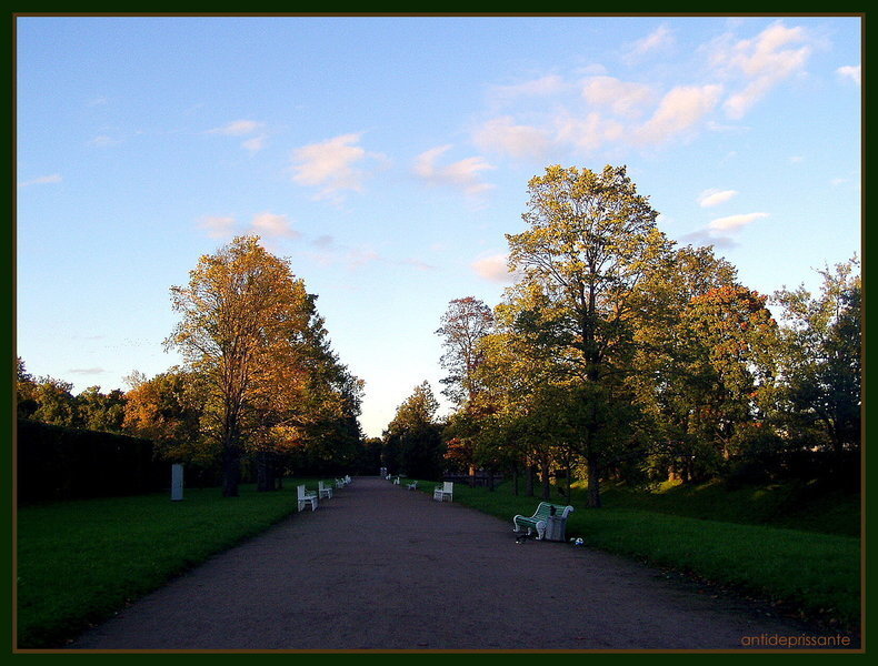 В Царском селе... - vadim 