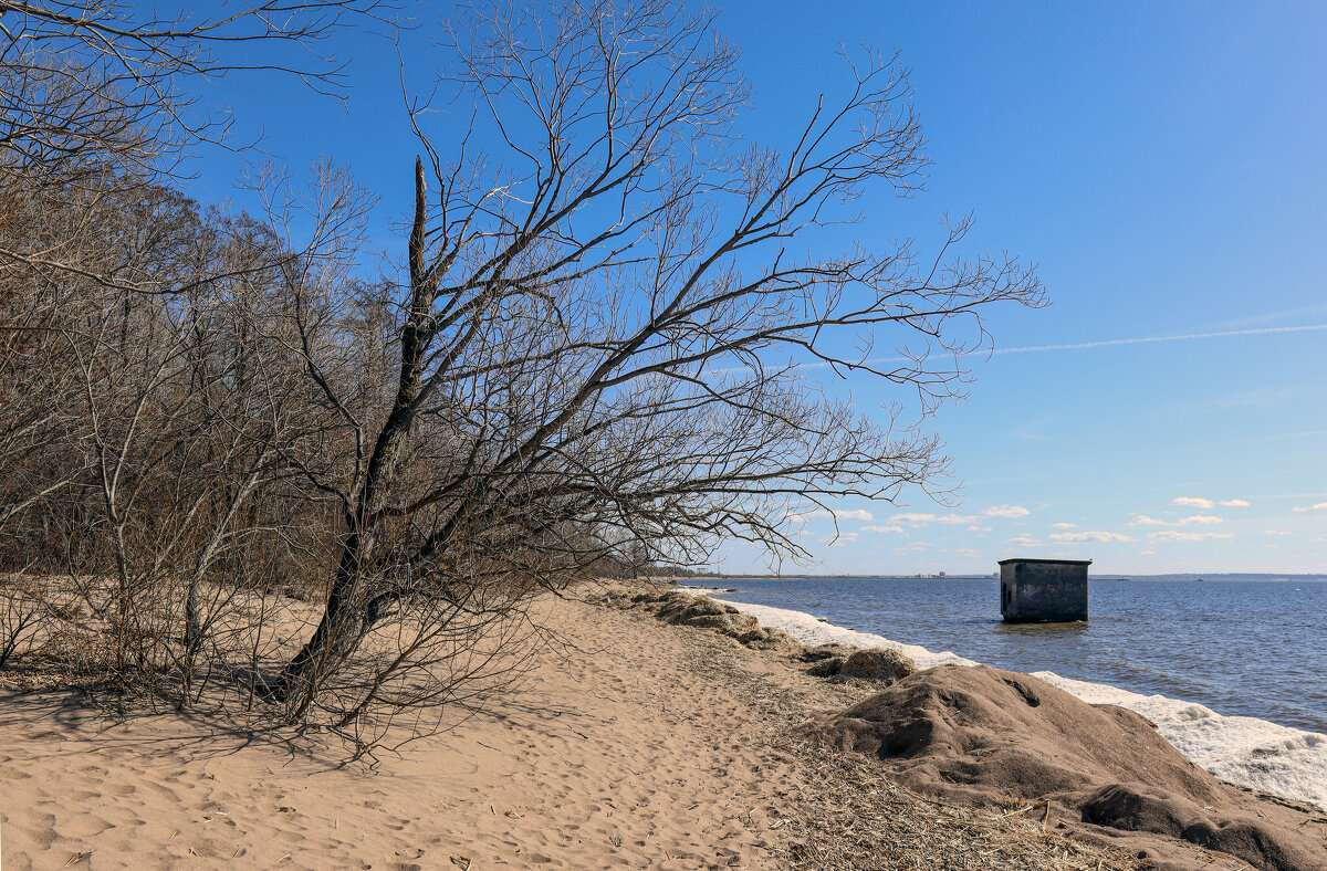 Западный Котлин - skijumper Иванов