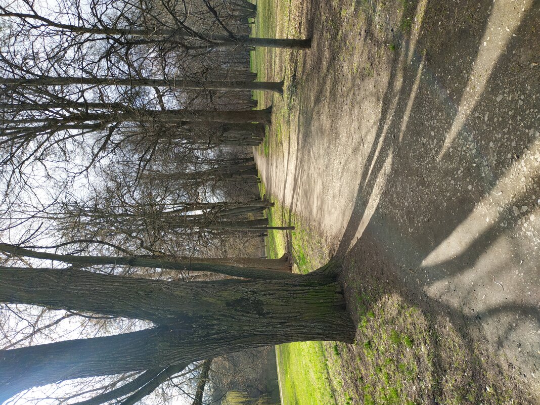 Апрель как он есть - Андрей Лукьянов Апрель как он есть - Андрей Лукьянов