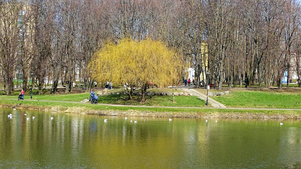 Весенний город - Милешкин Владимир Алексеевич 