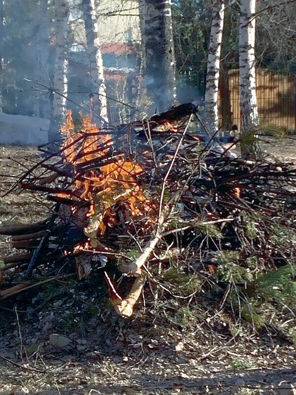 Костёр на даче. - Ольга Довженко